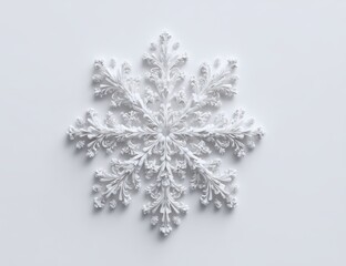 Ornate, detailed white snowflake design on a plain white surface