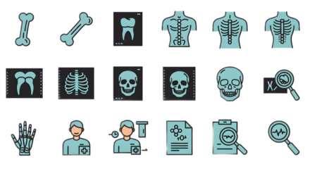 Medical Icons Set of Skeleton Bones X Rays Healthcare Professionals and Research Elements