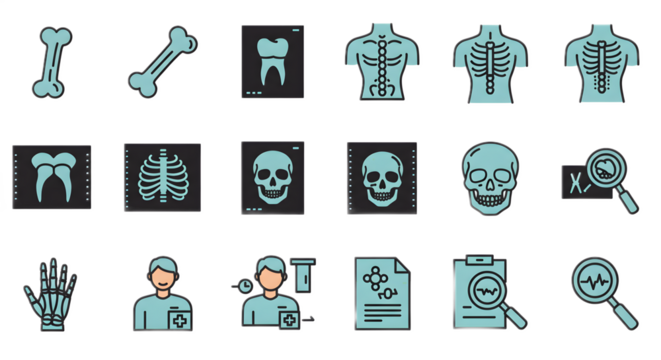 Medical Icons Set of Skeleton Bones X Rays Healthcare Professionals and Research Elements