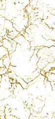 CracksLGold-01_01.eps