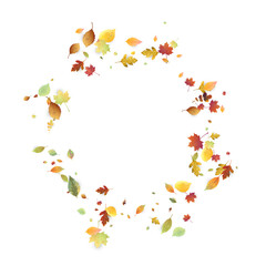 Leaves Falling Autumn Foliage Chaotic Leaf Flying