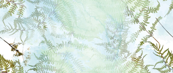 Fern__Back-04_03.eps