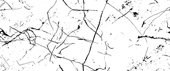 TRspBLUp-02_16.eps