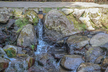 March 26 2025 Water Flowing Over Rocks in a Peaceful Forest Stream Setting, Japan