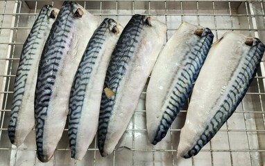 Raw Frozen Mackerel Fillets on a Metal Rack