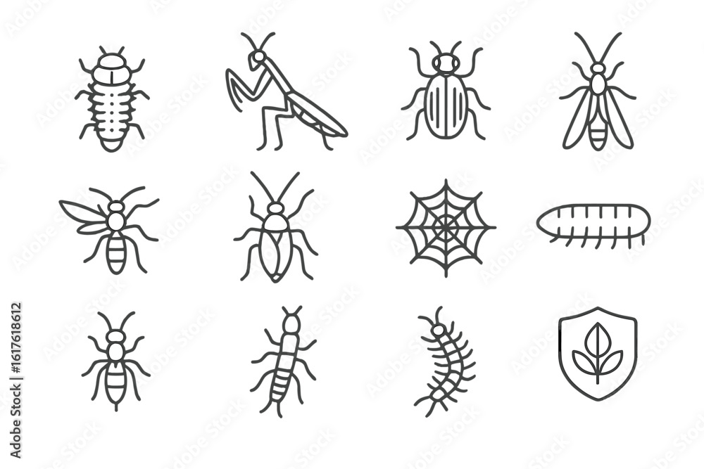 Poster insect icons set with spider web and shield symbol on gradient background