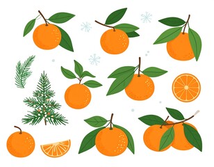 Collection of oranges and Christmas elements