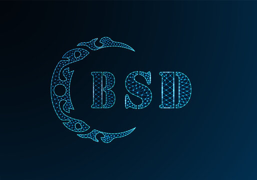 Low poly letter logo BSD design. BSD letter logo low poly vector design on blue color gradient background. BSD logo low poly design