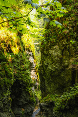 Waterfall with ladder in canyon, sucha bela in Slovak Paradise or Slovensky Raj National Park in Slovakia.