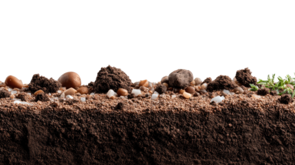 Earth Cross-Section: A detailed cross-section reveals the rich layers of earth, displaying soil, stones, and other natural elements. This visual represents a captivating natural composition.