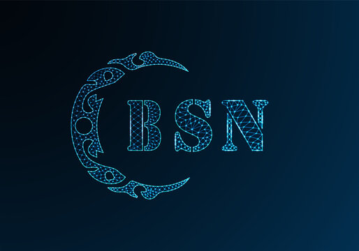 Low poly letter logo BSN design. BSN letter logo low poly vector design on blue color gradient background. BSN logo low poly design