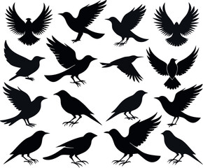 Fototapeta premium A collection of black bird silhouettes for graphic design