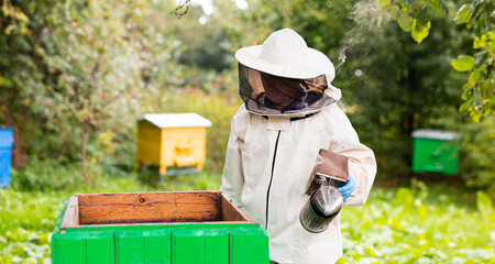 Senior beekeeper in protective suit stands next to open hive with fumigator in handSenior apiarist with fumigator