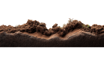 Cross-section of soil layers: A detailed cross-section of soil layers unveils the intricate composition of the earth's surface, revealing the diverse elements that support life.