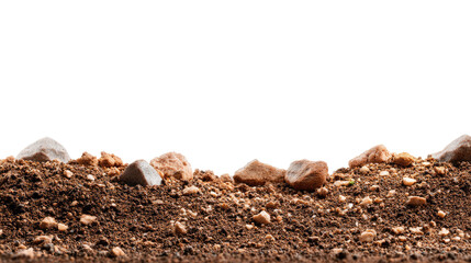 Earth's Embrace: A close-up shot unveils the texture of soil and stone, a testament to the earth's raw, natural beauty, with organic composition and rich mineral tones.