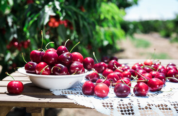 ripe juicy cherries in a white bowl on a lace napkin on the table