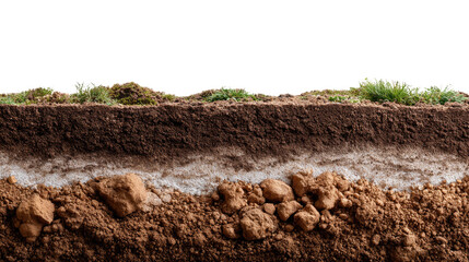 Soil Layer Section: A cross-section showcases the intricate layers of soil, revealing the textures of dirt and underlying geological composition in a visual representation of earth's structure.