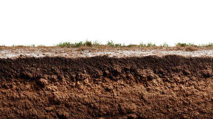 Soil Layers: A cross-section of soil, showing the different layers of earth, from the surface vegetation to the deeper subsoil and bedrock. A visual exploration of the planet's layers