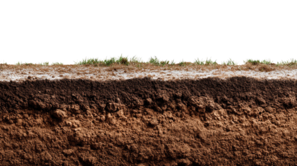Soil Layers: A cross-section of soil, showing the different layers of earth, from the surface vegetation to the deeper subsoil and bedrock. A visual exploration of the planet's layers