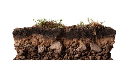 Earth's Layers: A cross-section view showcases the intricate layers of earth, unveiling the secrets held within, revealing its complex composition of soil, rocks, and vegetation.