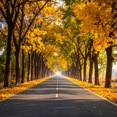 Autumnal road through golden trees