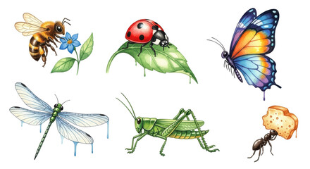 A vibrant collection of various hand drawn insects and bugs, including a bee, ladybug, butterfly, dragonfly, grasshopper, and ant, perfect for educational or nature themed designs.