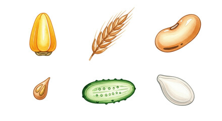 A vibrant collection of common agricultural seeds and grains, including corn, wheat, beans, sunflower, cucumber, and pumpkin. Ideal for farming, food, or nutrition concepts.