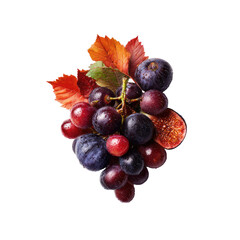 Autumnal fruit cluster