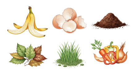An illustration showcasing various organic waste materials like banana peel, eggshells, leaves, grass, and vegetable scraps, ideal for composting and sustainable gardening.