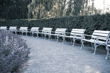 Elegant benches embellish the walkway in the Rose Garden of Petrin, offering a serene spot for visitors amidst blooming flowers and lush greenery in Prague.