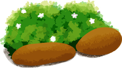 Cartoon Bush with White Flowers and Garden Stones – Cute Nature Element on Transparent Background