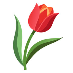 Stylized red tulip flower with green leaves isolated on white background