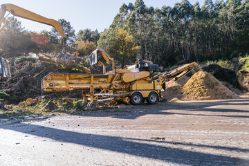 Heavy machinery processing wood waste, creating sawdust, wood shavings, and wood chips at a sawmill...