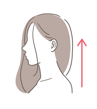 姿勢が良い女性の横顔のバストアップイラスト素材