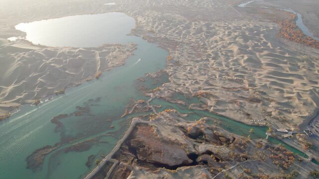 Drone view of high speed boat sailing in lake in desert with Populus euphratica forest with yellow golden foliage on sunny autumn day in Xinjiang, China, 4k real time footage.