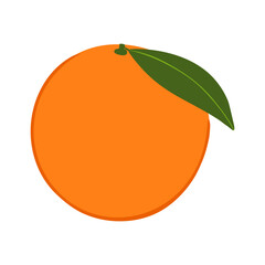 Orange in hand drawn style. Vector illustration isolated on white background