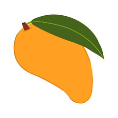 Mango in hand drawn style. Vector illustration isolated on white background