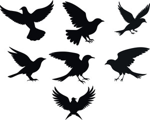 Obraz premium A collection of black bird silhouettes for graphic design