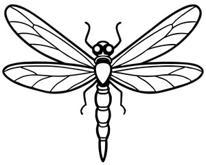 Stylized black and white dragonfly illustration