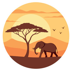 Fototapeta premium Solitary elephant walks through flat African landscape at sunset with birds flying around