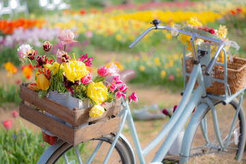 Beautiful flower bouquet on a basket in a bicycle on a flower bed garden