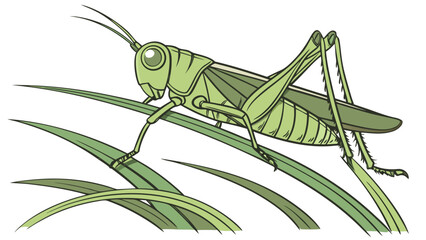 Green grasshopper perched on blades of grass