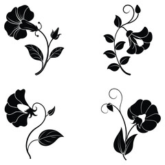 Sweet Pea Flower Vector Silhouette with Graceful Ruffles and Climbing Tendrils Botanical Illustration Design