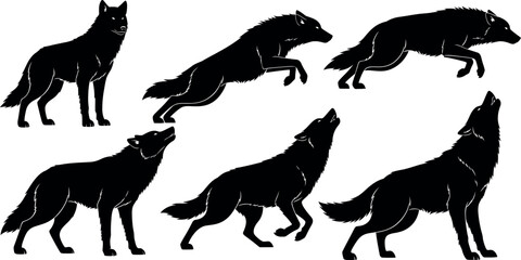 Naklejka premium Collection of six dynamic wolf poses in a stark black silhouette style on a white background