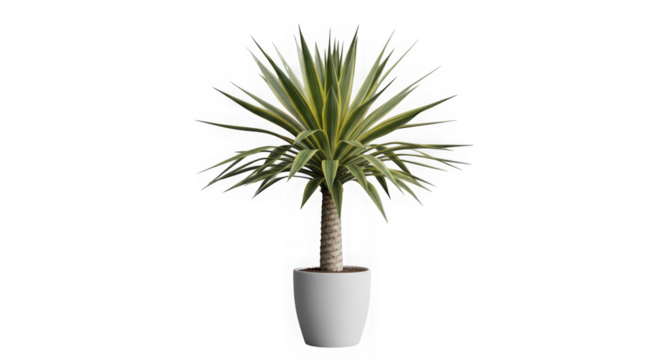 Ai generated image of a potted plant with green leaves isolated on a transparent background