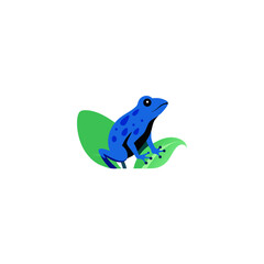 Obraz premium blue poison dart frog sitting on a wet leaf
