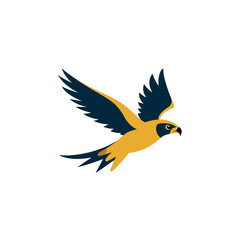 Obraz premium falcon diving toward prey with wings tucked