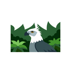 Naklejka premium harpy eagle perched high in rainforest canopy