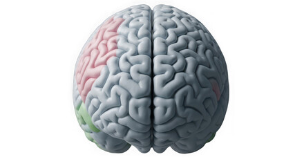 Ai generated image of human brain isolated on transparent background