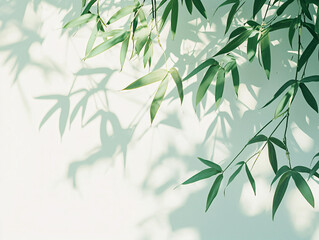Green Bamboo Leaves Casting Shadows on Light Background